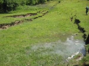 10001443_787678417908874_5625878494215216434_n (2)