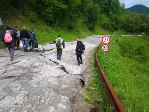 kostajnik 1