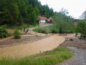 kostajnik 12