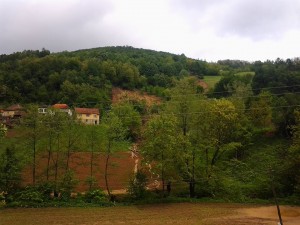 kostajnik 14