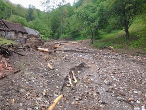 kostajnik 5