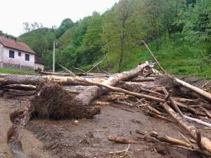 kostajnik 7