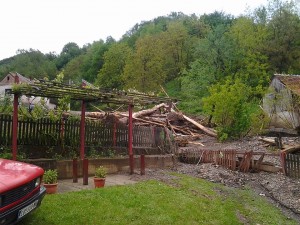 kostajnik 8
