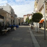 loznica 18052014-2