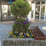 loznica 18052014-4