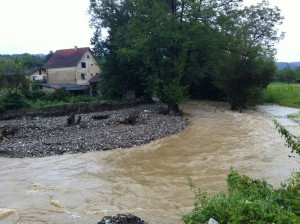 photo-4