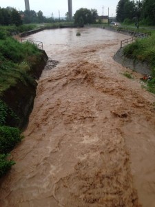 trbusnica 5 avgust 2