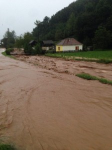 trbusnica 5 avgust 33