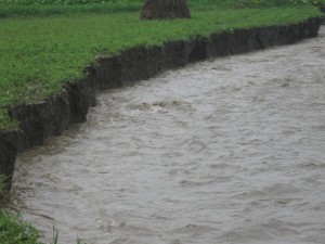 10628525_287692711425200_8209051421176071832_n