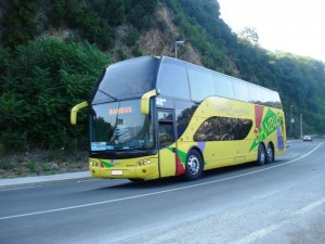 bambus autobus