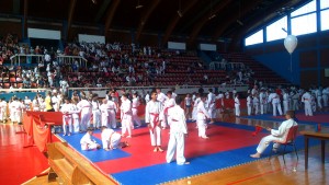 sotoka-loznica-2015-_-1