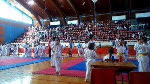 sotokan-loznica-2015-_-2