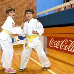 sportski izazov loznica9636