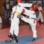 DSC_0210 (Custom)