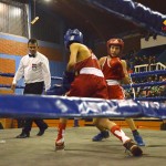 boks-loznica-open-2
