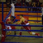 drenovak bk loznica