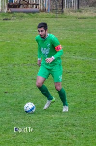 nikola nikolic