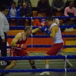 peric bk loznica