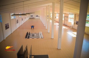 pejak handal banja koviljaca