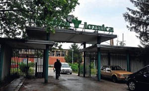 viskoza-loznica-krada-luzina-1385239265-401845