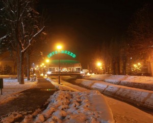 loznica sneg