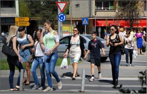 pozadina6.jpg