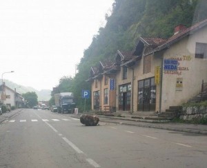 10346617_10203044069795820_4526790256966333981_n