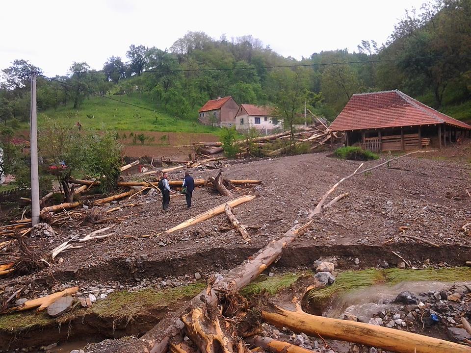 kostajnik 21
