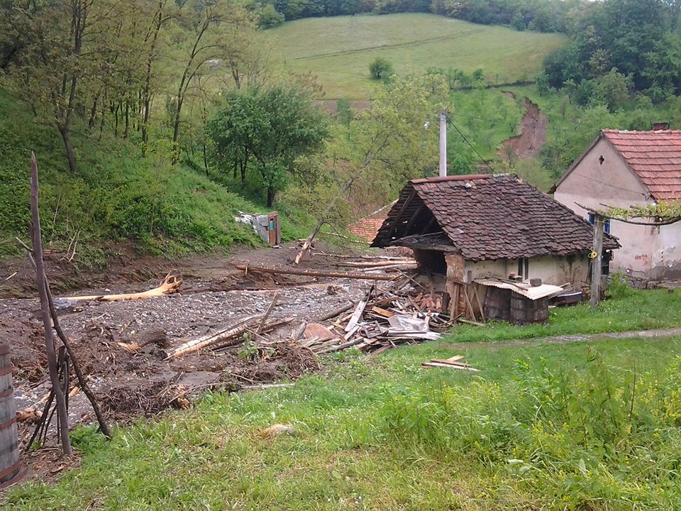 kostajnik 3