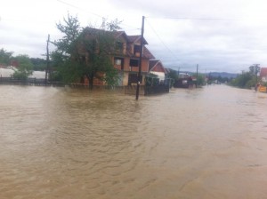 kozjak foto a ilic