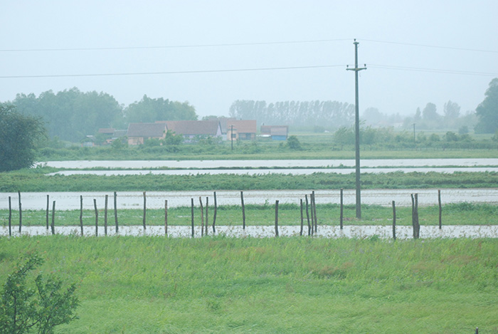poplava-loznica
