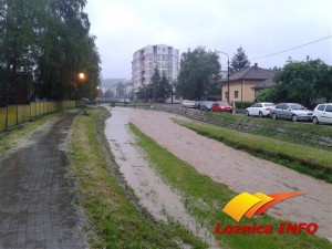 stira-loznica-534