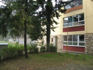 Osnovna skola Branko Radicevic