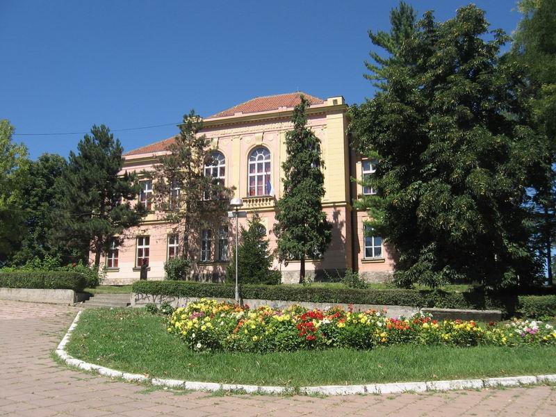 OS Anta Bogicevic