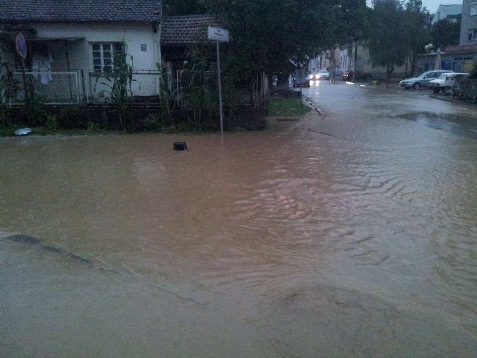 loznica 22