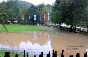 10690356_728109263892279_5198654051054668159_n