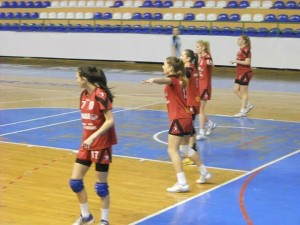 zrk loznica