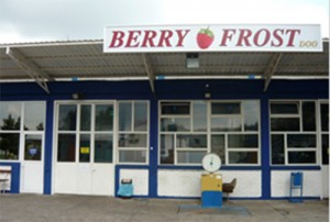 bery-frost-loznica-hladnjaca