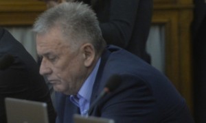 velja ilic