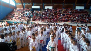 sotokan-loznica-2015-_-3
