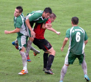 nikola nikolic