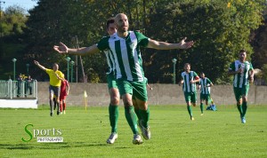 simic-nenad-gol-radnickom