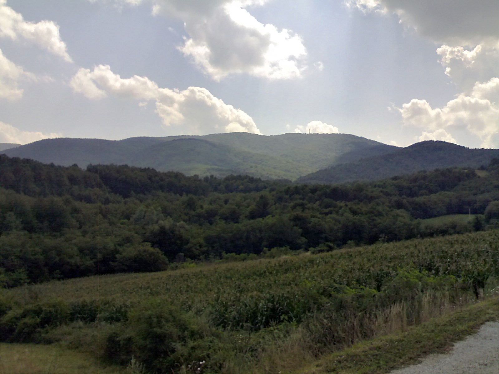 Planina_Cer