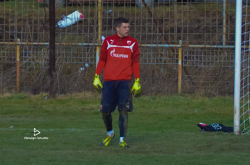 jovan vicic
