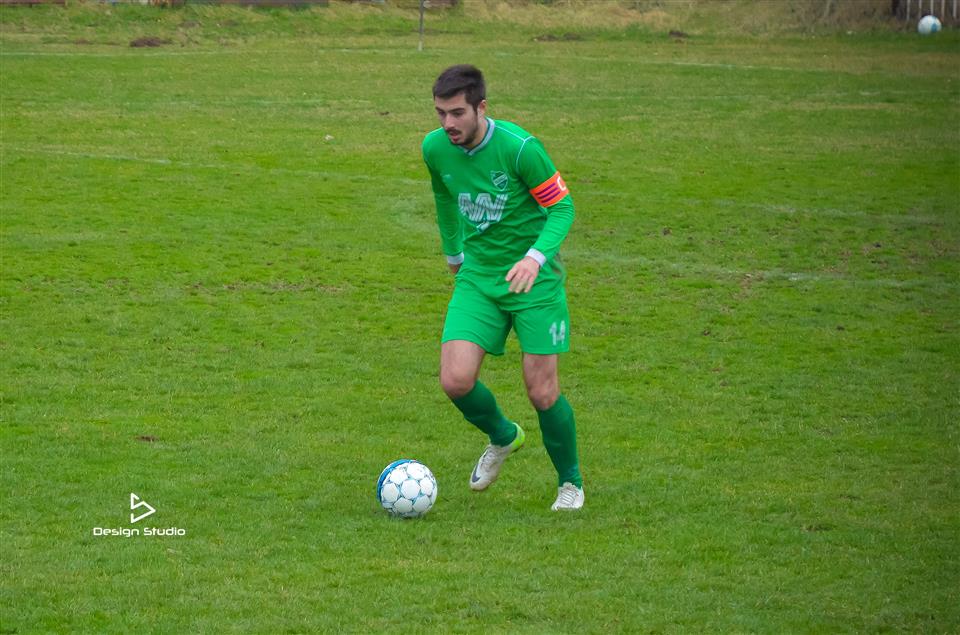 nikolic n 555