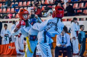 tekwondo loznica open15319558_10209246187449228_835451442_n
