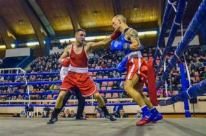petar stosic