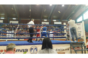 bk-loznica-bk-pink-panter