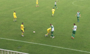 josanica-loznica