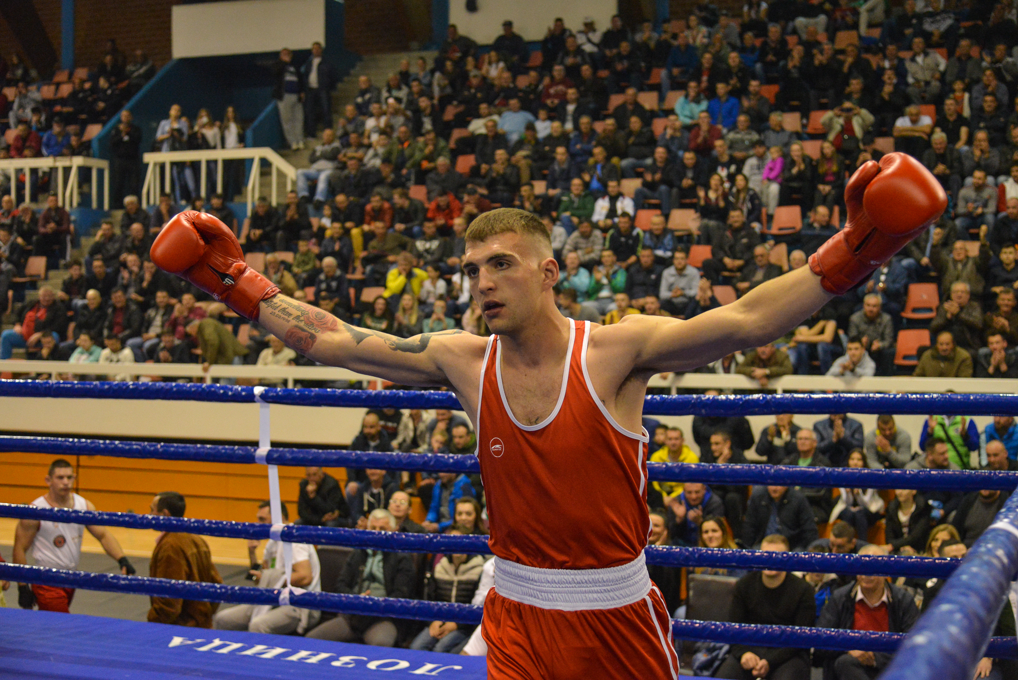 veljko raznatovic bk loznica